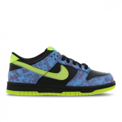 Nike Dunk Low SE Older Kids' Shoes - Multi-Colour
